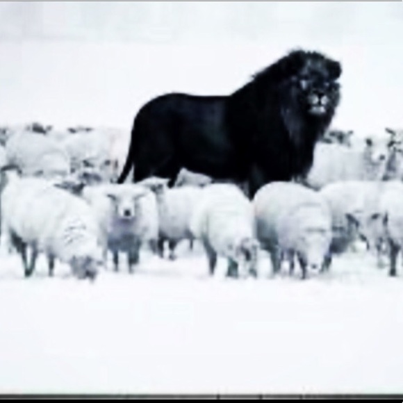 Meet your Posher, Stephanie - Picture 4 of 5